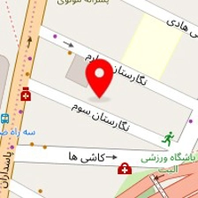 ظروف یکبار مصرف برند پیکنیک