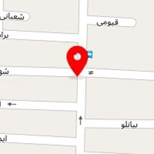 ظروف یکبار مصرف وتم تولد نوروزی