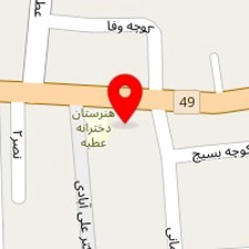 ظروف یکبار مصرف برادران آلشی