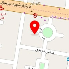 شرکت رایان ماندگار