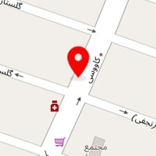 دفتر خدمات نظافتی دلفین استخر