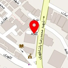 دکتر سارا همدانچی