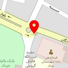 ارتوپدی چیپسو