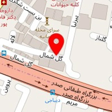 سینامد دیبا