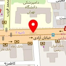 گروه پالپ
