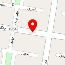 ایرانیان طب زعیم