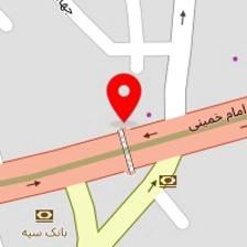 عکاسی گل مریم