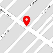 عکاسی گلها
