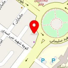 عکاسی شاهد