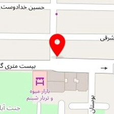 عکاسی نخل