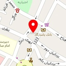 عکاسی پژمان
