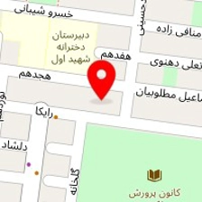 عکاسی دیجیتال نوظهور