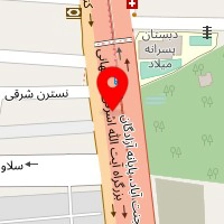 زرین گستر