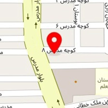 گانودرما _ تیم تحقیقاتی امیرکبیر