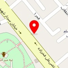 کفش پارمیس