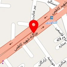 رادمان پلاست