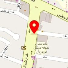 کیف و کفش چرم سورنا