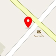 فروشگاه لوازم یدکی البرز دانگ فنگ سلیمانی