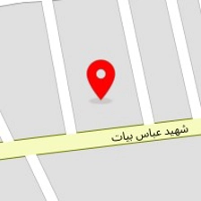 پاشا کاکتوس