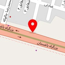 رنگ اتومبیل امین