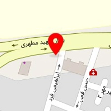 دزدگیر امیر