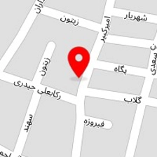 پلاسکو مهدی