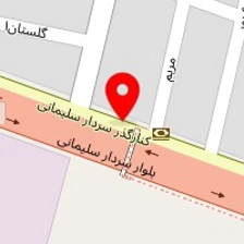 خودرو یدک پارسا