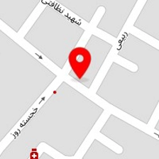 پلاسکو گنجینه عظیمی