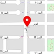 کفش طبی پاتکان
