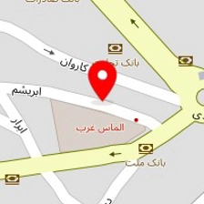 کیف وکفش رامین