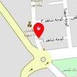 شبرنگ نگار