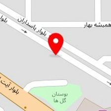 پخش مرغ امیر