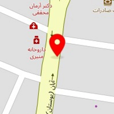 نمایندگی شیرین عسل