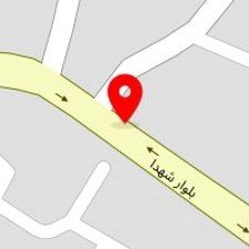 پلاسکو هاشمی