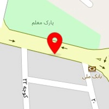 تزئینات اتومبیل باغبانی
