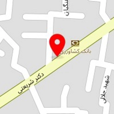 مرغ فروشی مرتضی
