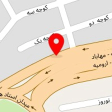 فروشگاه مواد غذایی ریژوان