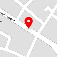یکبارمصرف پویا