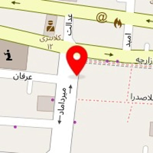 کیف نگین
