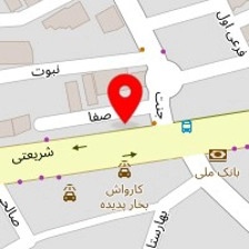 تزئینات اتومبیل علی