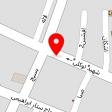 کیف وکفش پارسیان