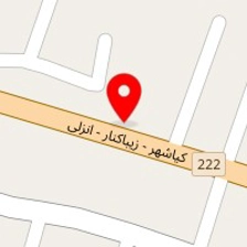 بازرگانی ایلیا