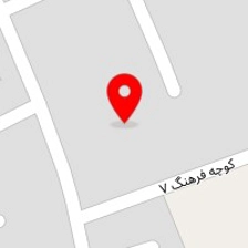 مرغ فروشی امیر