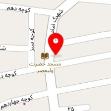 گلخانه بنفشه آفریقایی ویومن