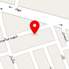 تزئینات اتومبیل علی