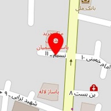 کیف و کفش آنتیک