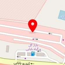 مجتمع گل حمید میرزایی