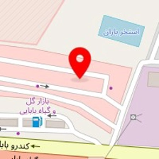 موسسه تولیدی گل وگیاه عباس پور