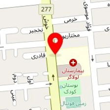 تزیینات فیاضی