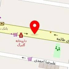 دمنوش نیوشا